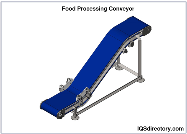 Food Processing Conveyor