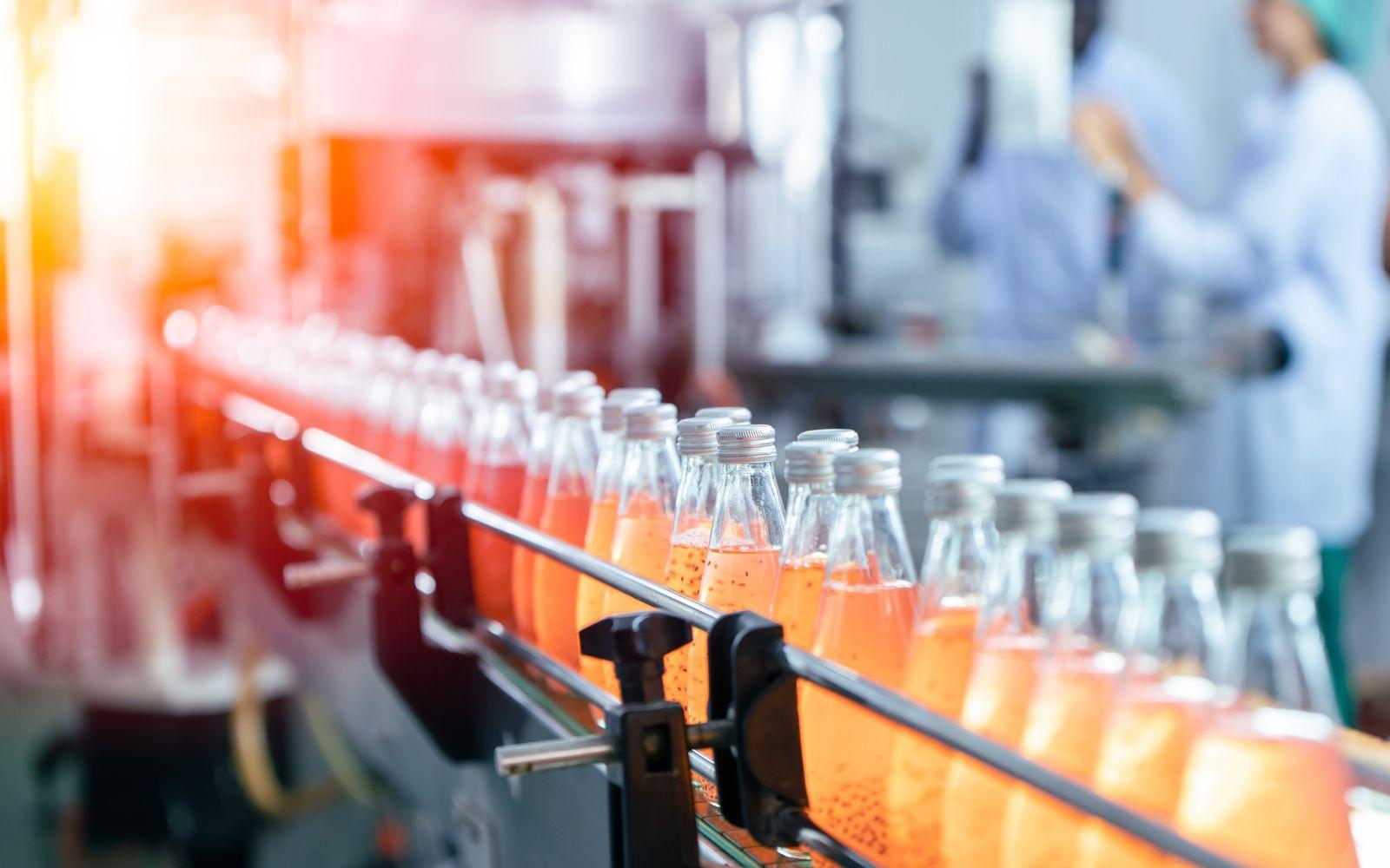 Filled bottles of orange drink travelling along a bottling line conveyor