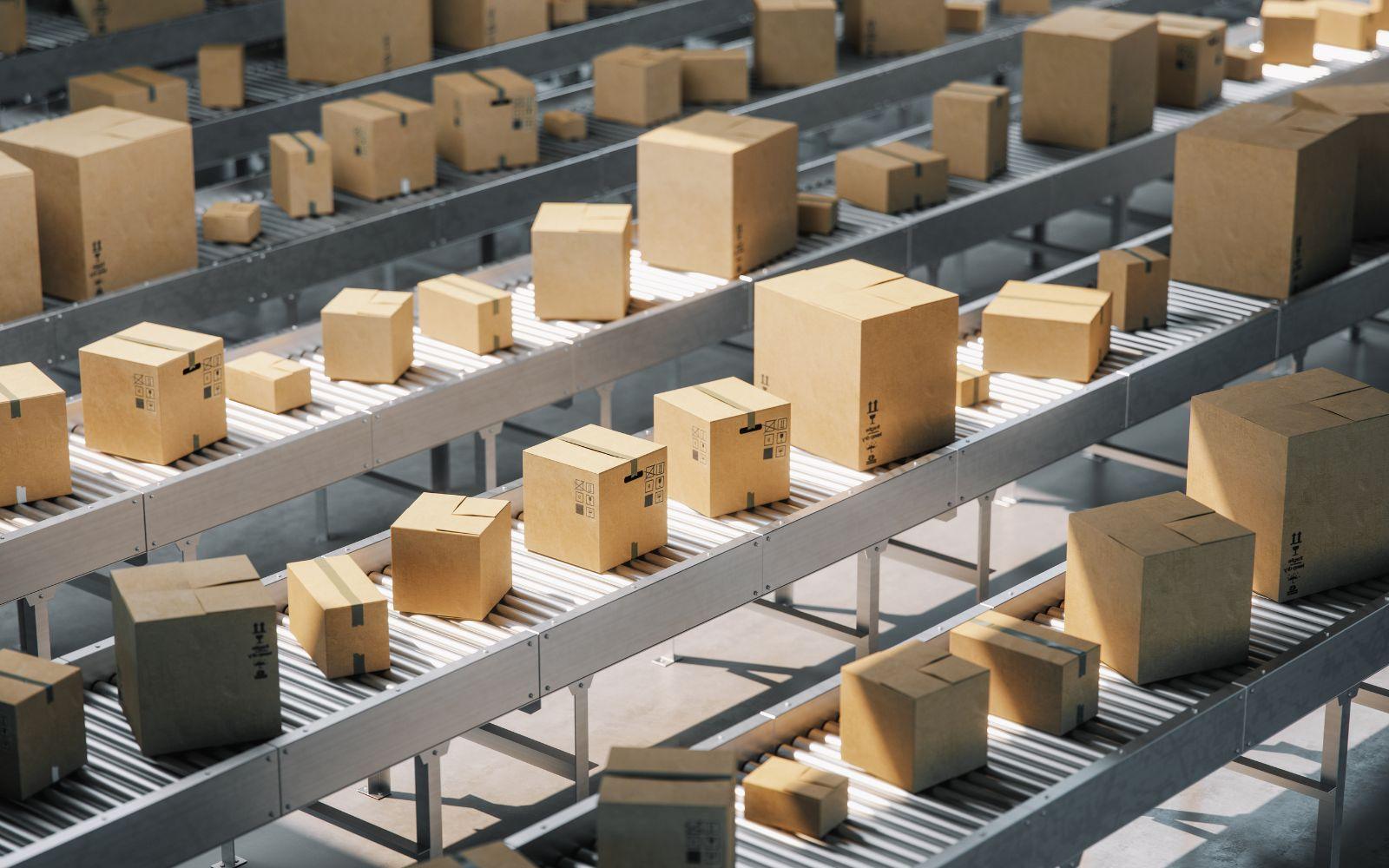 Rows of cardboard cartons held on parallel gravity roller conveyor lanes